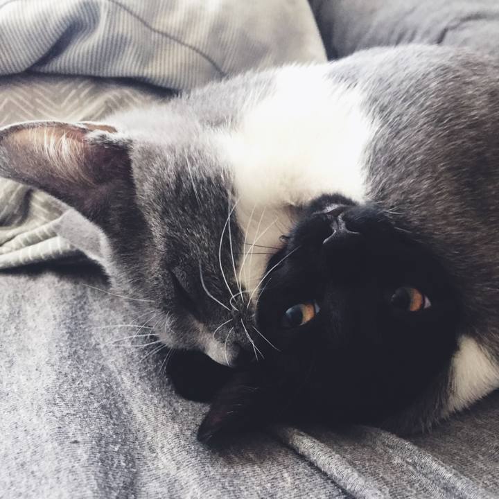 3a8e2764 2a2e 4834 a517 a0d7450d0510