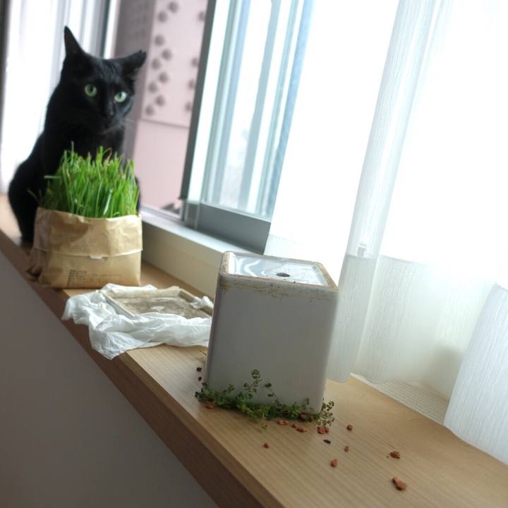 3a8ee150 69c8 49dc 968a 29061cb725f0