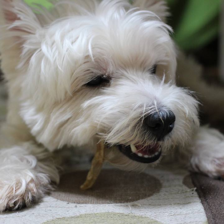 3a8f19d8 d573 4d3c 8599 705771a8e228