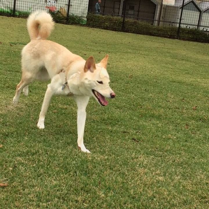 3a8fb935 712c 49d9 9d69 32de22477ae5