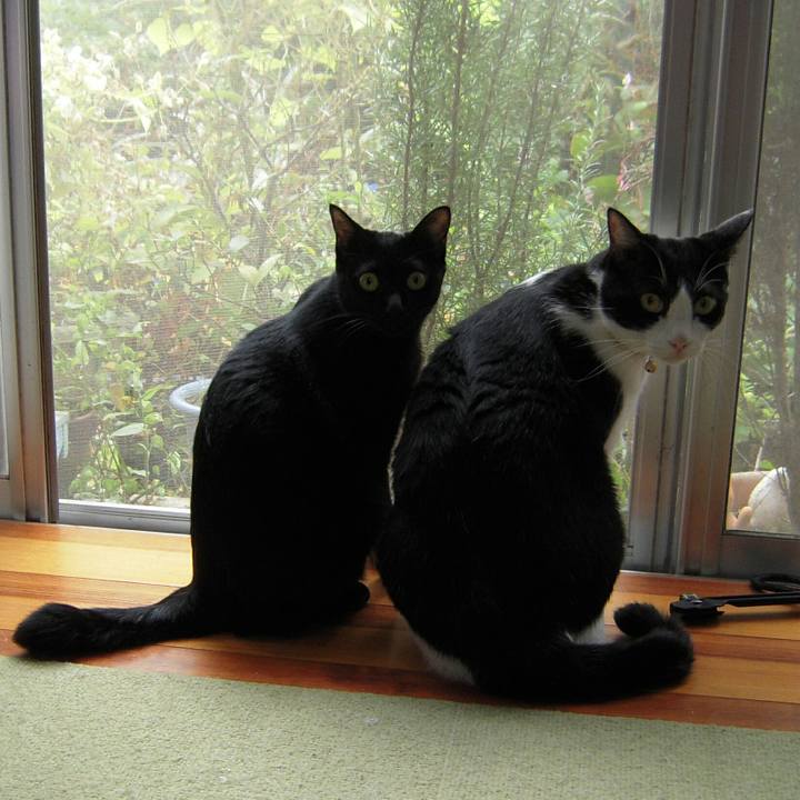 3a9048dd 9d41 4a2b a6a1 561f273c4ec7