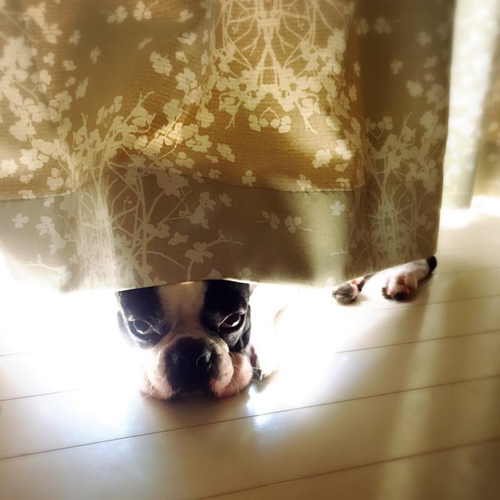 3a905852 370d 425b a561 bae8aa778a7a