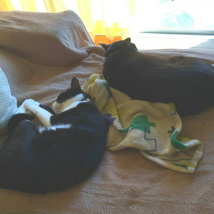 3a908438 ca0d 48f9 a8ec 2863dc7bb998