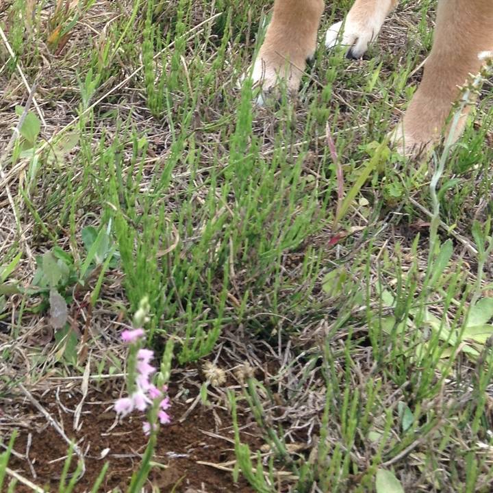 3a9163bc c04d 47f0 b315 d8fb37f4fea2