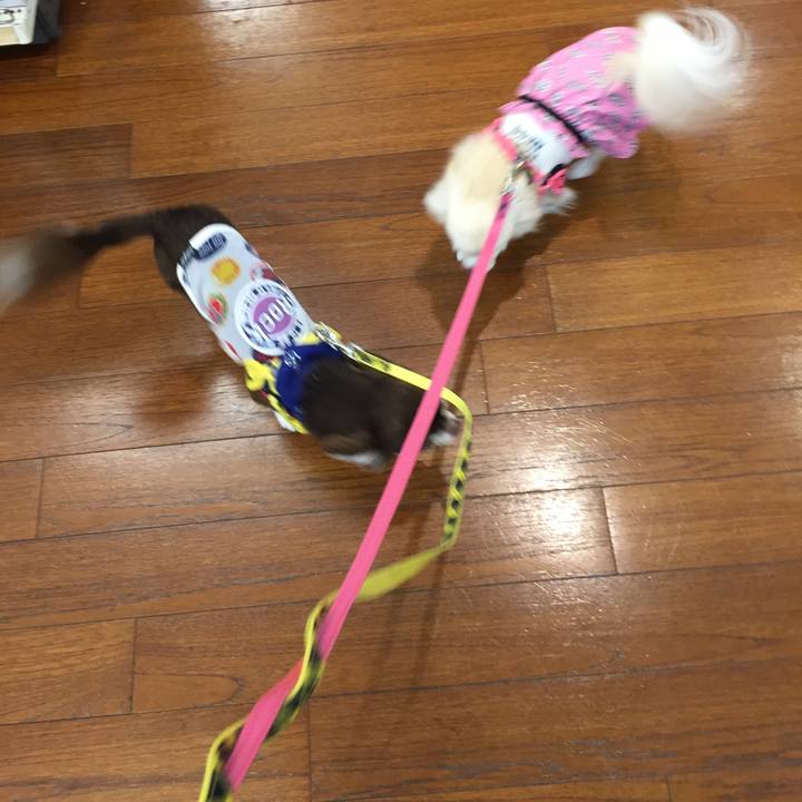 3a9319f4 0a7a 41db aa4e 03c6257631e9