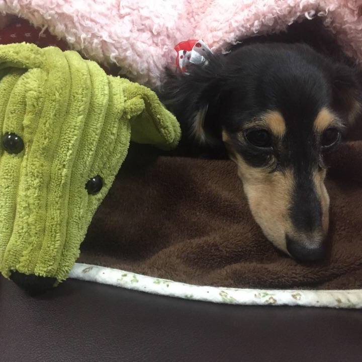 3a9328b5 3920 406d 90f8 fa19467bead2