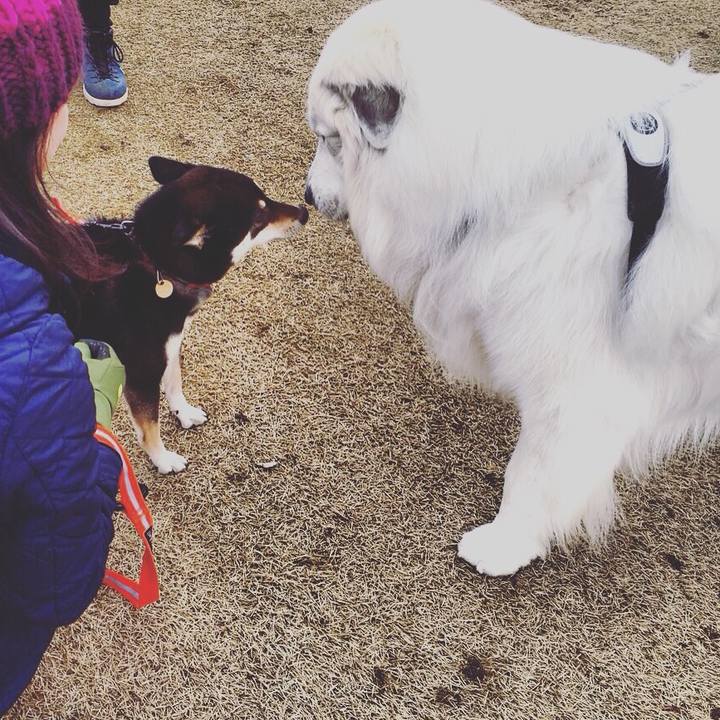 3a93b50a 633e 4492 9c04 b826e9c21ea2