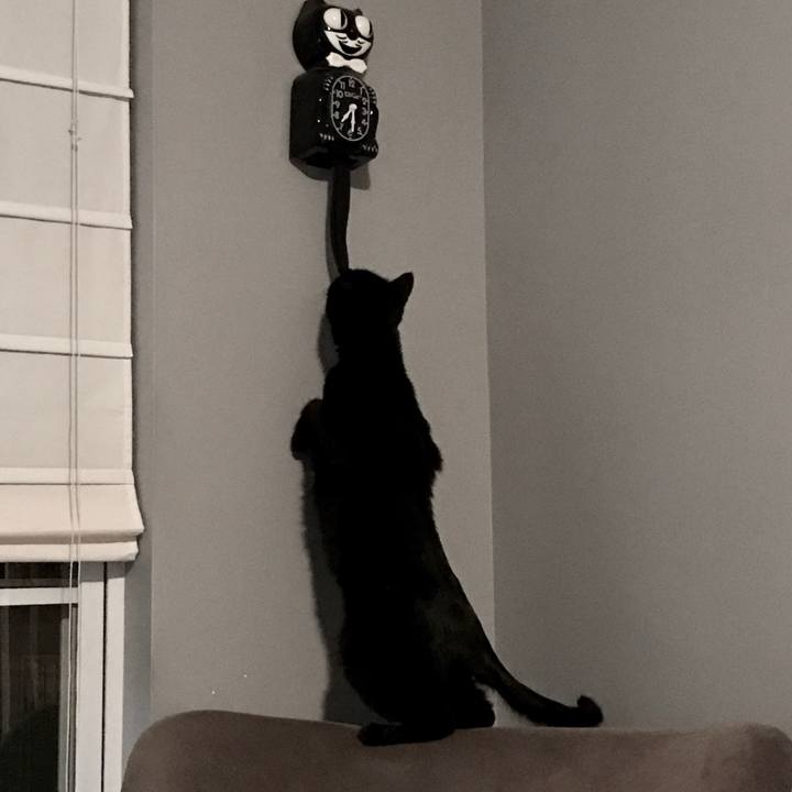 3a93e51f b9b5 4676 965d ef1dc6d65f17