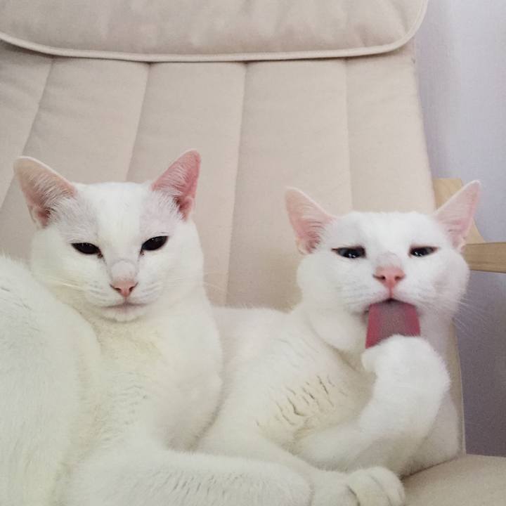 3a94b463 57a0 4430 b19c 8795d613826f