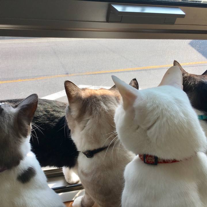 3a96d168 0fbf 4340 ae3c e64f6e8e62ef