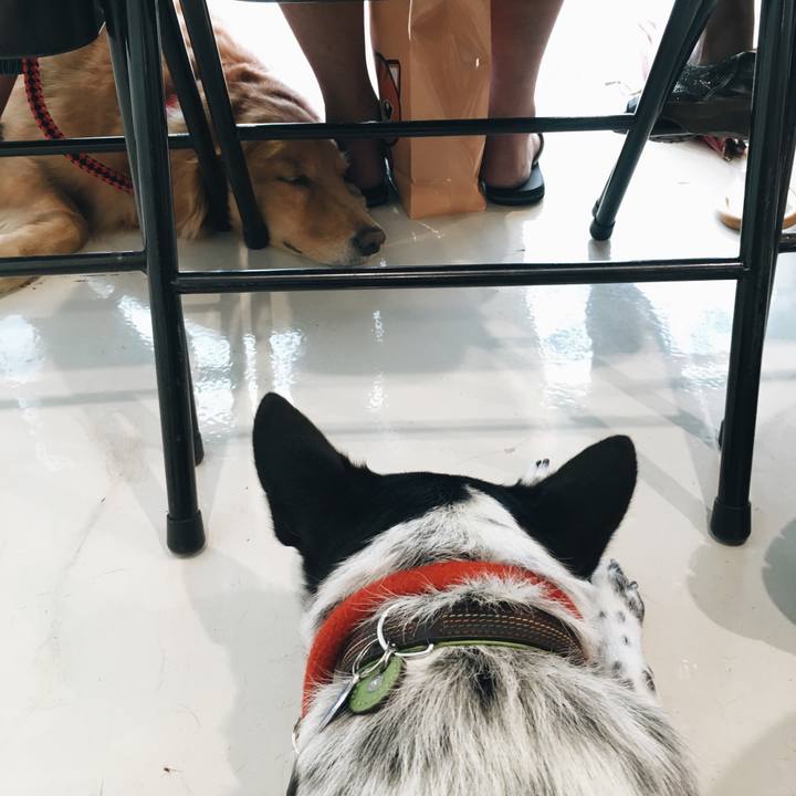 3a97eace 8a4f 48d5 baa4 340c8922c7a5