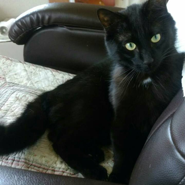 3a98ec5e f056 4bf4 bceb e45f766b1f51