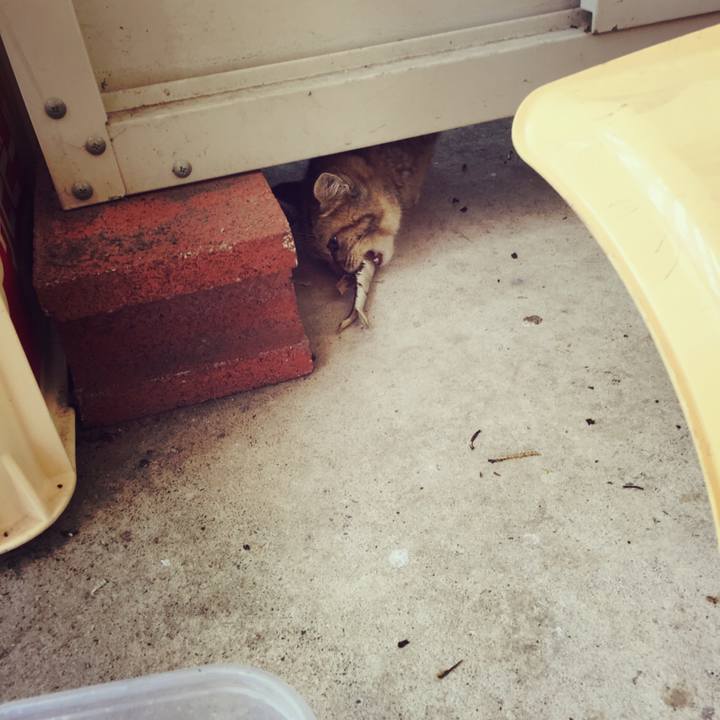 3a99bc6f 0ceb 4522 a4ca bf8e30390544