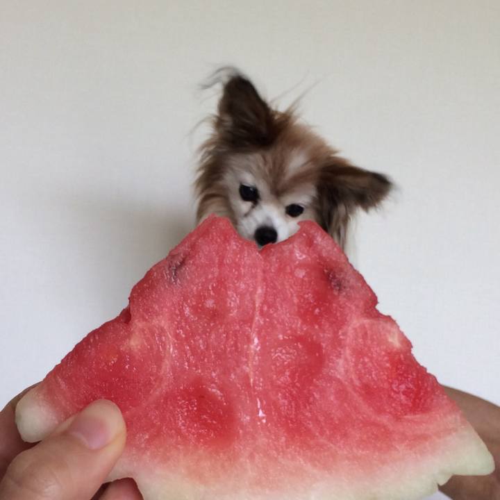 3a9a012f 059b 493e bdf5 dcd195a79ca3