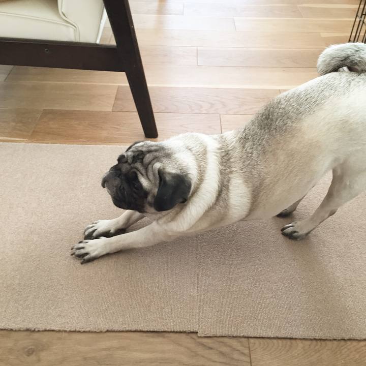 3a9a16d9 c766 4489 afb7 2f7962edd74e