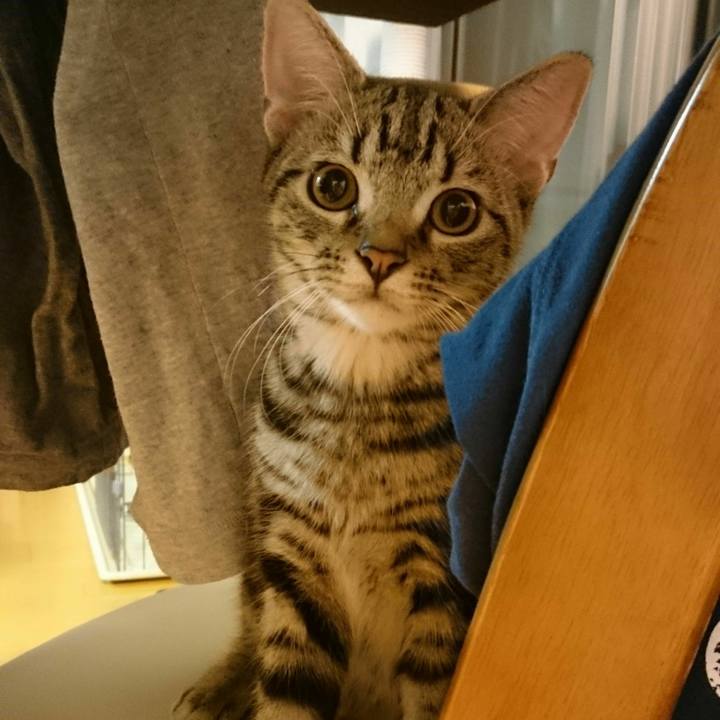 3a9a45a2 5519 40e3 a431 4919714cc097