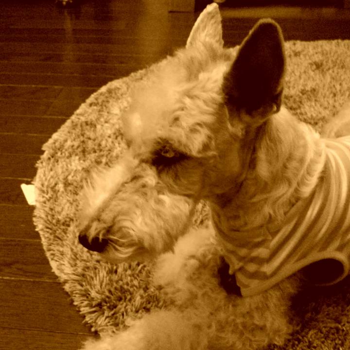 3a9a9e60 28e2 43c6 b345 545472ad08d2