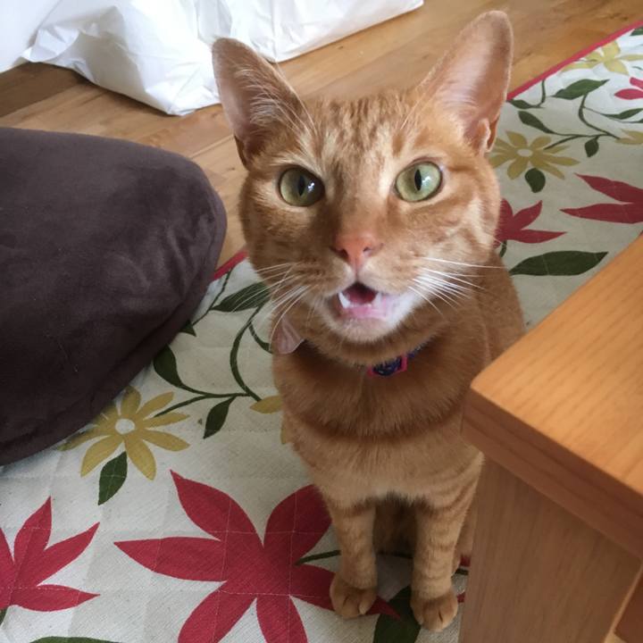 3a9b63f5 8b3f 4418 9ace ed98269e79cf