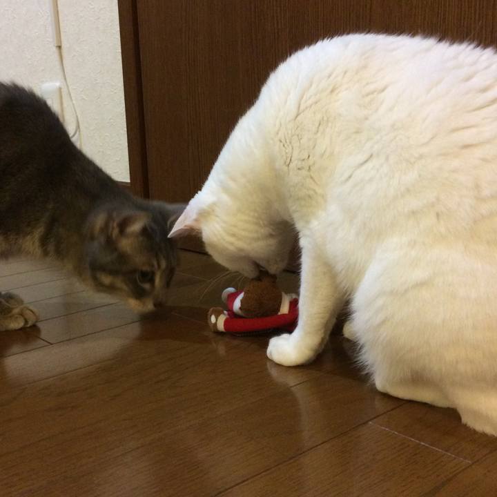 3a9bd851 7376 44e5 a12d 75c44a2b2c72