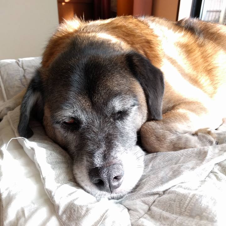 3a9c2193 81d3 43cb ae3f 5f44c4f73e8c