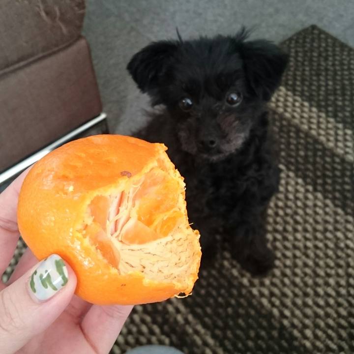 3a9c7665 c34f 454b 83b1 3b401dfae773