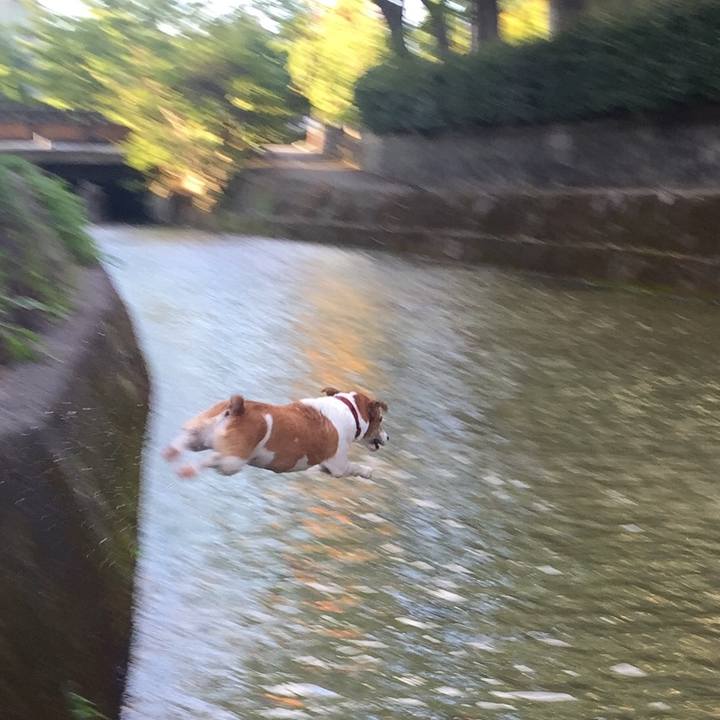 3a9ca94f 5665 4db1 bee8 31e24ed1b38e