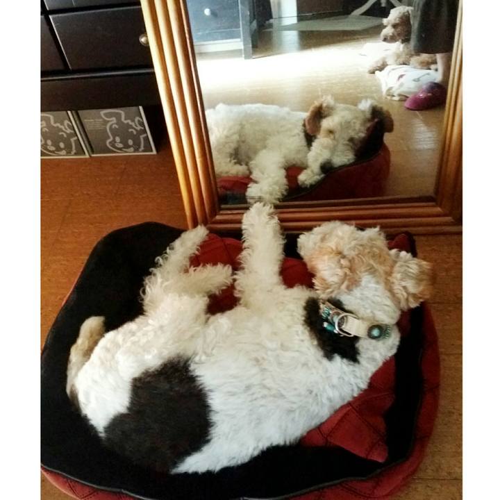 3a9d7fbf 9911 4b14 bfd4 ac40916557e9