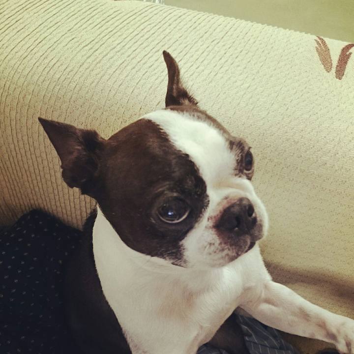 3a9d944f 05bf 4f42 a9dc 5e5f614c48a6