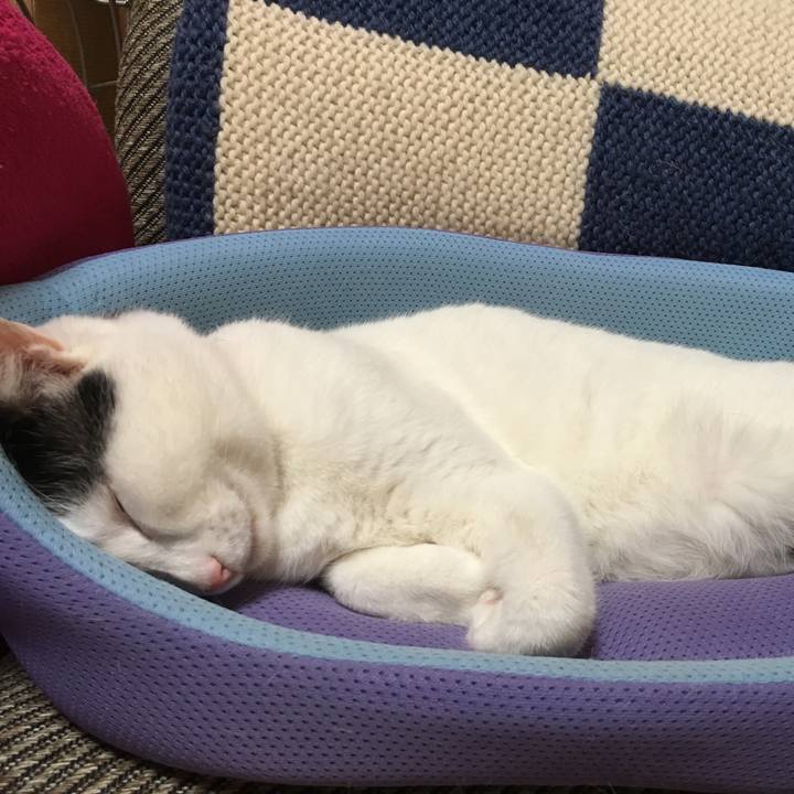 3a9ddcfc 969d 4cb3 b3c1 030c6bc21618