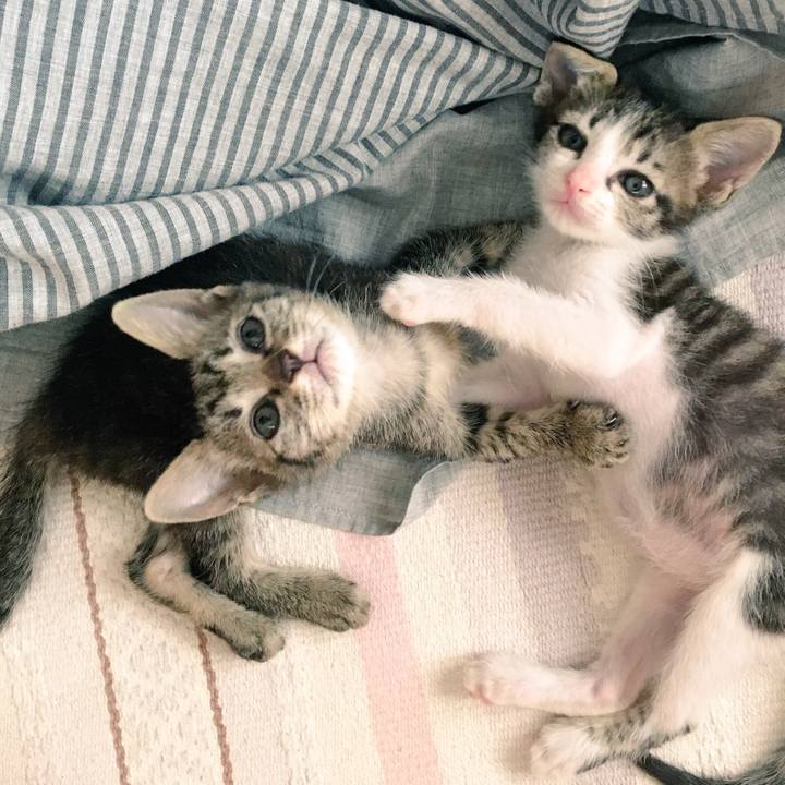 3a9de25a 95ed 4067 b3d2 2d754f337003