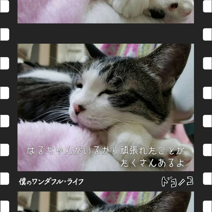 3a9debb9 cd2b 42f7 9d31 5a8a29b7a7d2