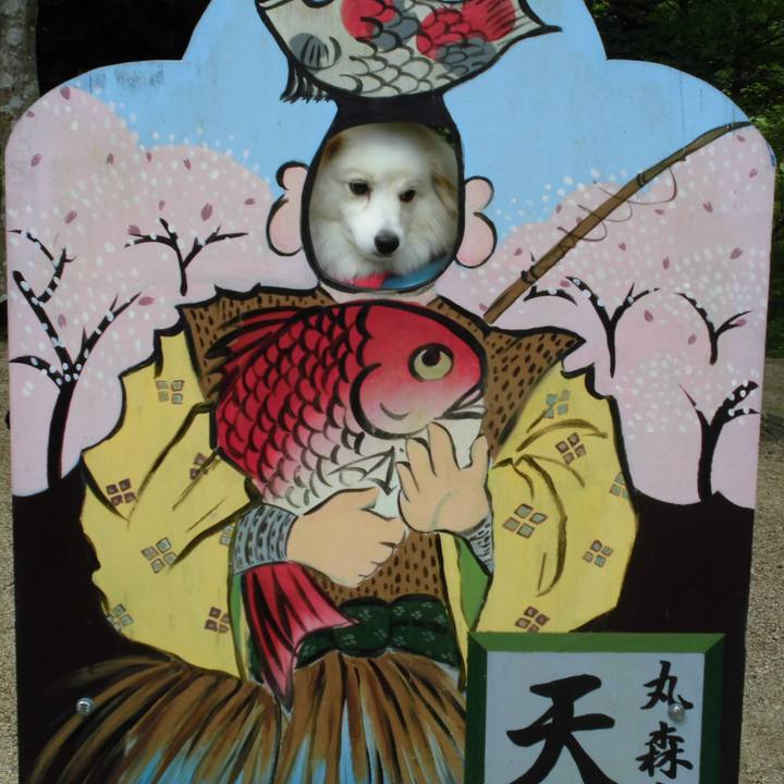 3a9ed0ff 21b4 4f6c 89a3 cf736a1acb91