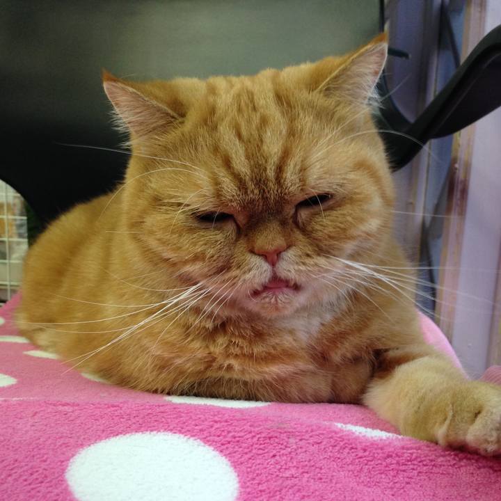 3a9edb52 0ccf 4abb a1cf 7ed2bdb0eff1