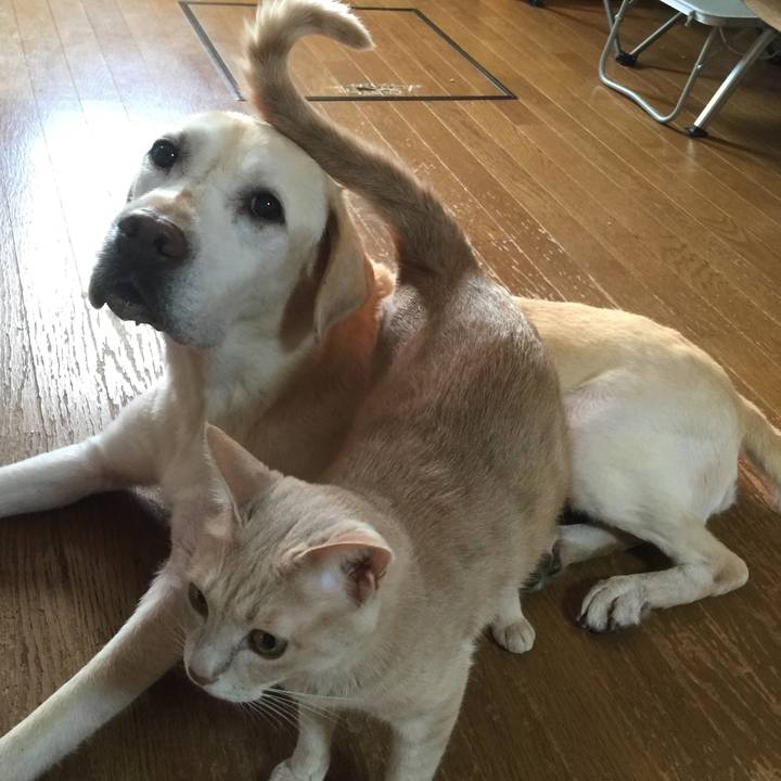 3a9f5916 059f 4dce 9aee eaf26d7dabe6