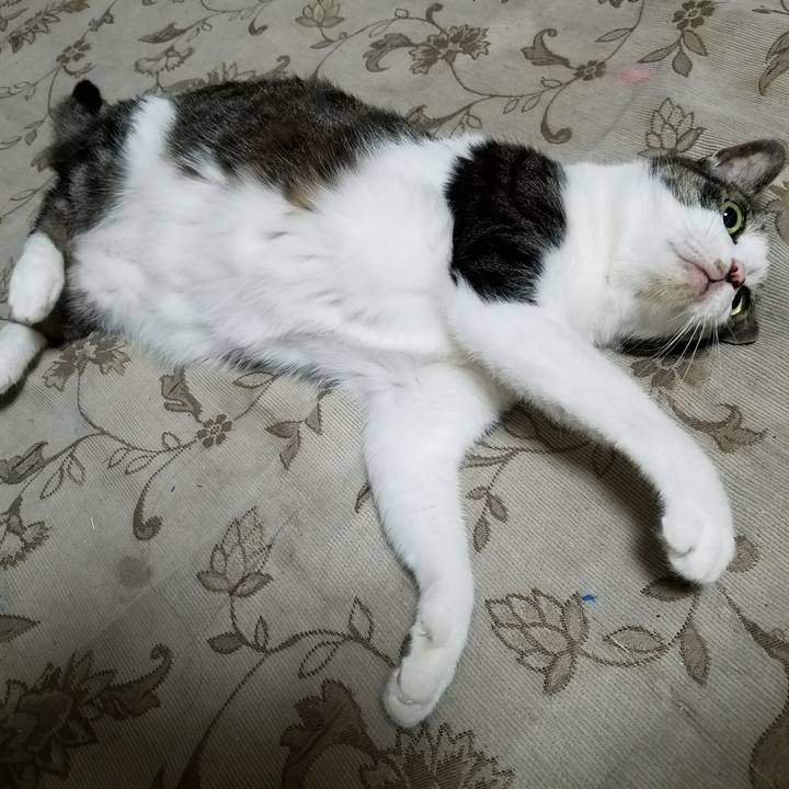 3a9fb792 95ec 4bc0 9546 ea077467cec3