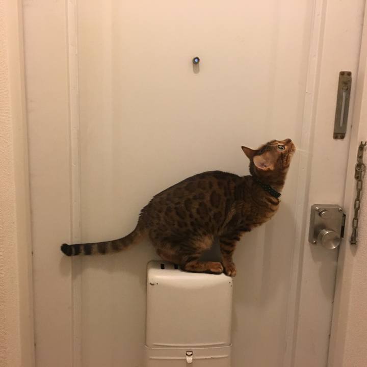 3aa0957d 1e38 4b51 97cd 635b3780a8e6