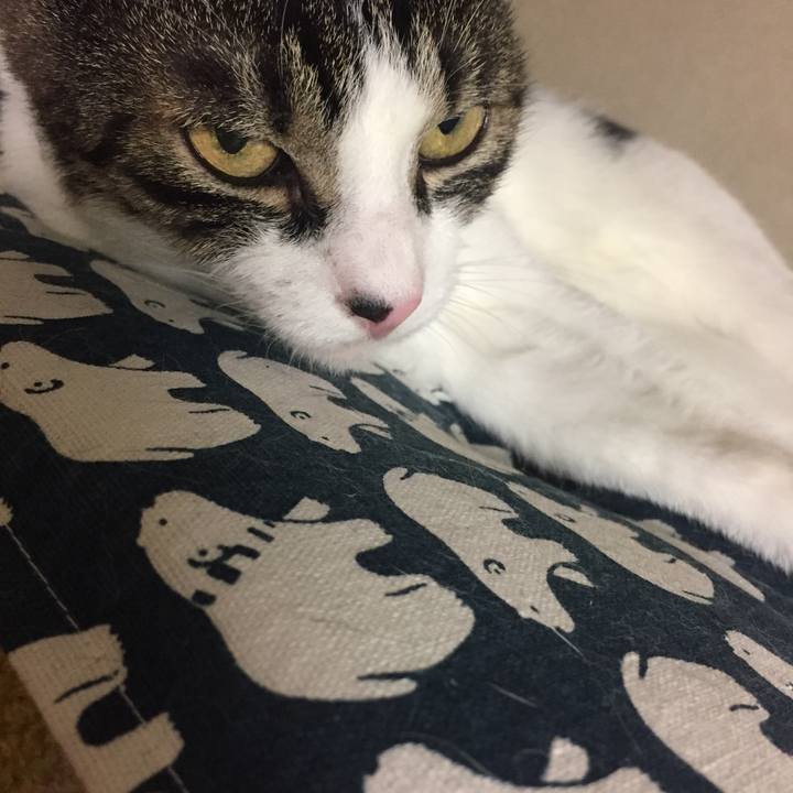 3aa142d4 af83 4b9b bc9e 28da43be592b