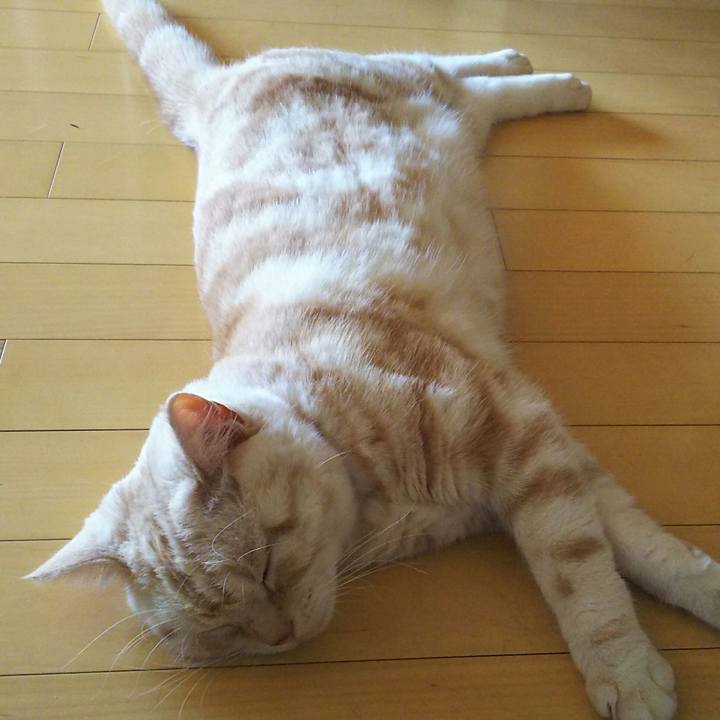 3aa1b6a5 0257 424f 958e 47e478bc7486