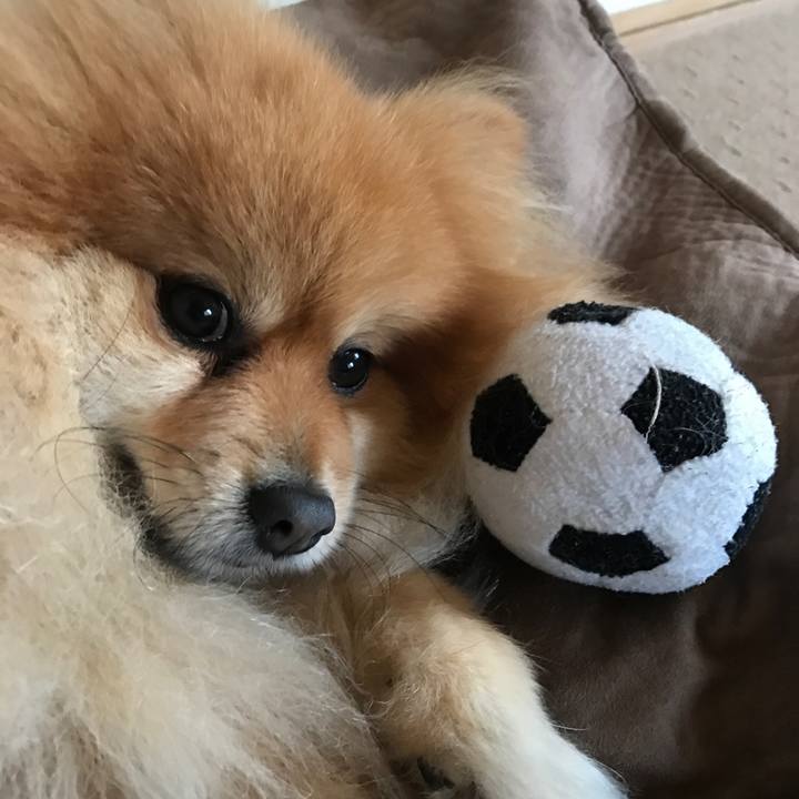 3aa1ce87 0ff7 48d1 8099 896ce2925ad2