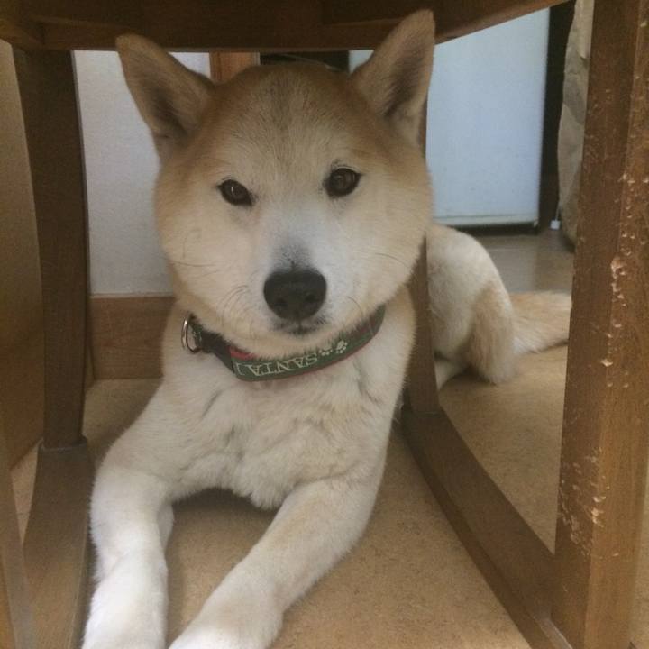 3aa1ef30 eabb 41e1 9e36 36c0708212cb