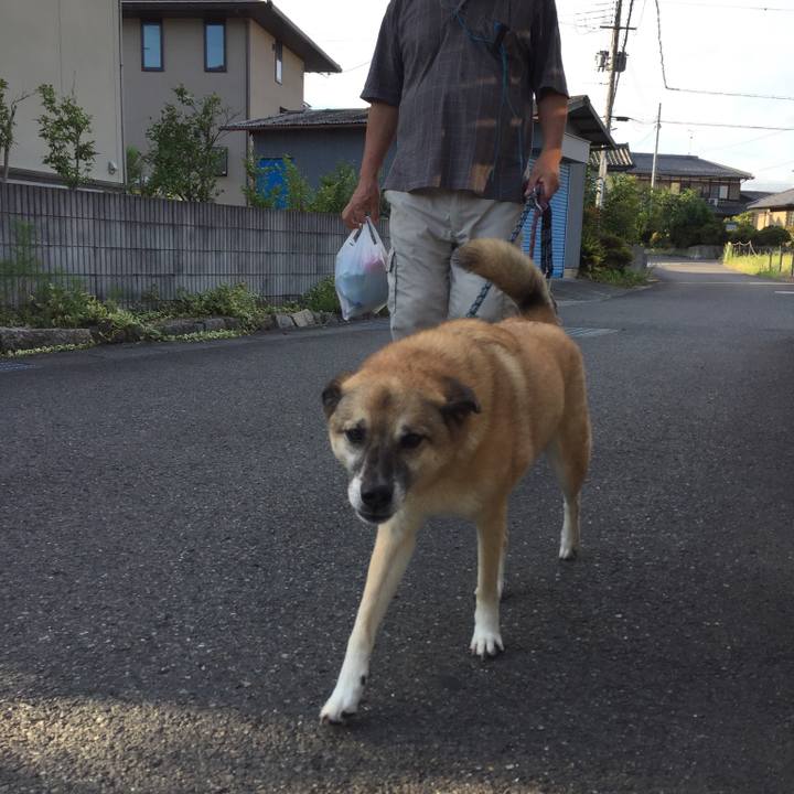 3aa1ff06 41a5 4113 a0d9 13225d4bda0a