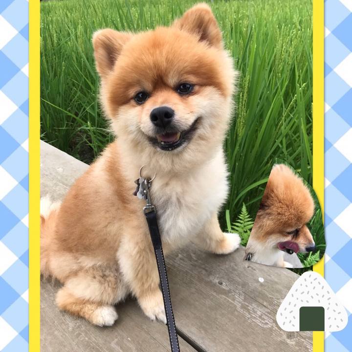 3aa37078 0ee9 4a60 a61a 71315b200d03