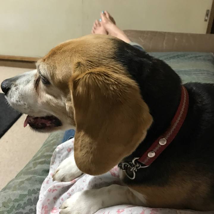 3aa44bab 7281 4f7e a950 93c3d1373f2b