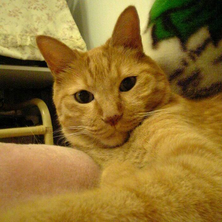 3aa45631 bc93 4ac3 bde1 72e5abedfb24