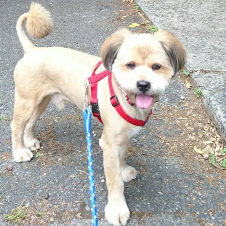 3aa4e8bb 004b 466f aa5a 512eac2d6946