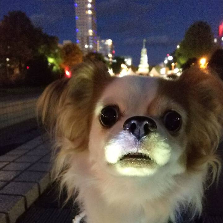 3aa56c54 307f 471a 82d6 c8e9cbf764bf