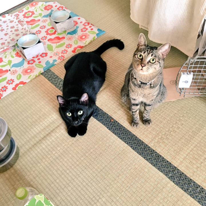 3aa584cf 81b7 4427 b3ec 7cd394a6b2f7