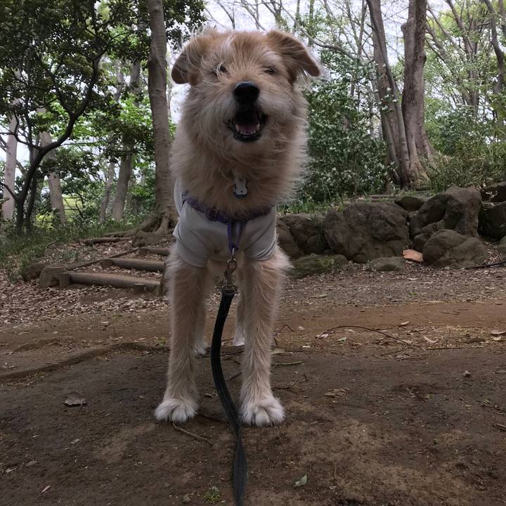 3aa5d5ac 4863 4579 b479 15cccaf6a9d8