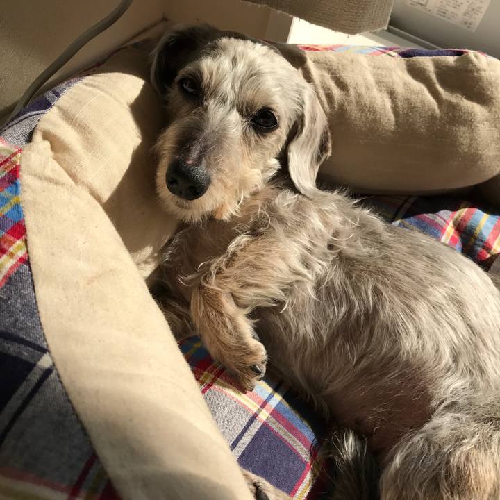 3aa5efa1 ad43 4e94 9c92 0aaa4194e74f