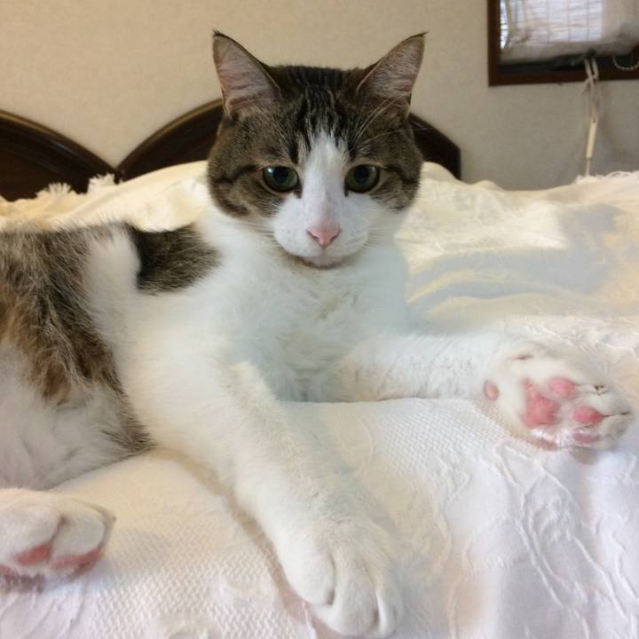 3aa631f9 9cdd 4ac9 b980 285496367b36